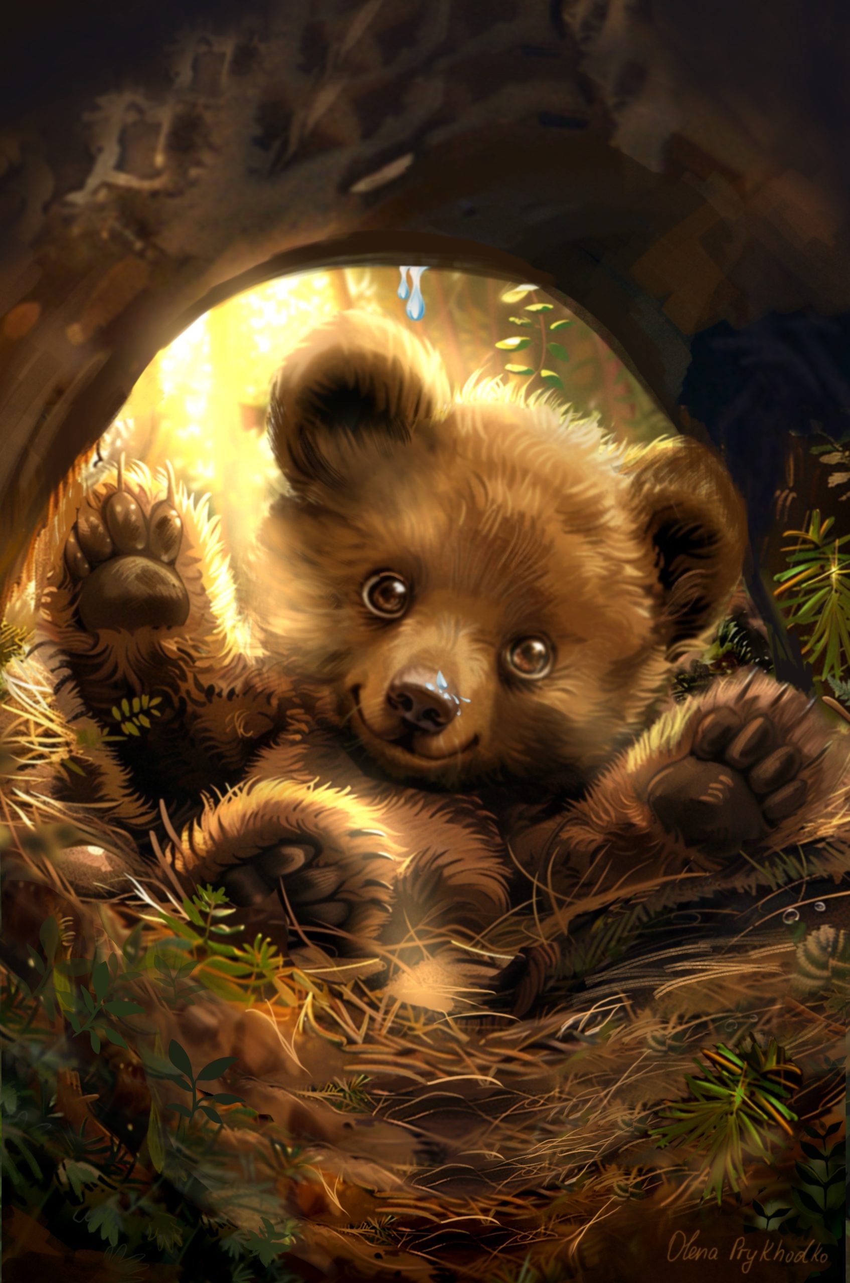 Illustration_2